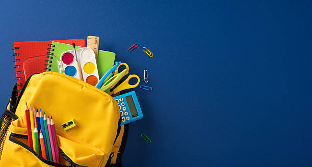 NERDC New Curriculum For Primary School